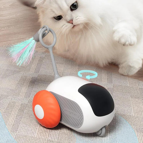 Cat playing with the Pouncebot remote control chase car on a rug
