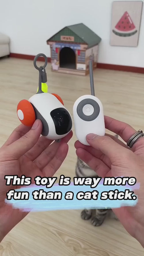 Pouncebot running in smart mode while a cat watches, and the feather tail being swapped