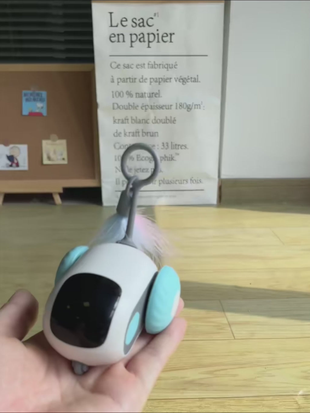 A kitten chasing the Pouncebot across a wooden floor